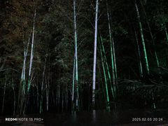 -天目湖涵田半山温泉