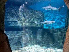 -横店影视城梦幻谷园区