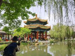 -曹州牡丹园