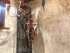 -锦小馆(安贞店)