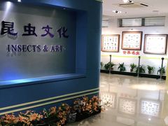 -上海昆虫博物馆
