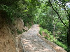 -大岭沟猕猴桃谷风景区
