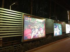 -枫花园汽车电影院(朝阳公园店)