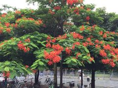北京师范大学(珠海分校)-北京师范大学(珠海校区)
