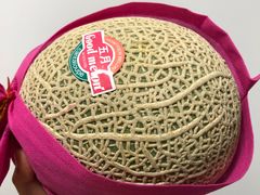 -鲜丰水果(九洲新世界花苑店)