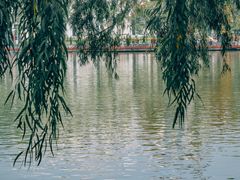 -西湖公园(鼓楼区)