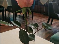 -莎琳娜食品有限公司·蛋糕店