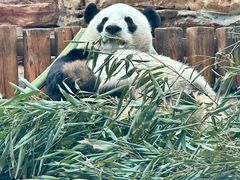 -石家庄市动物园