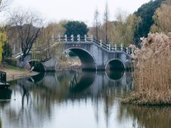 -尚贤河湿地