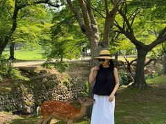 -奈良公园