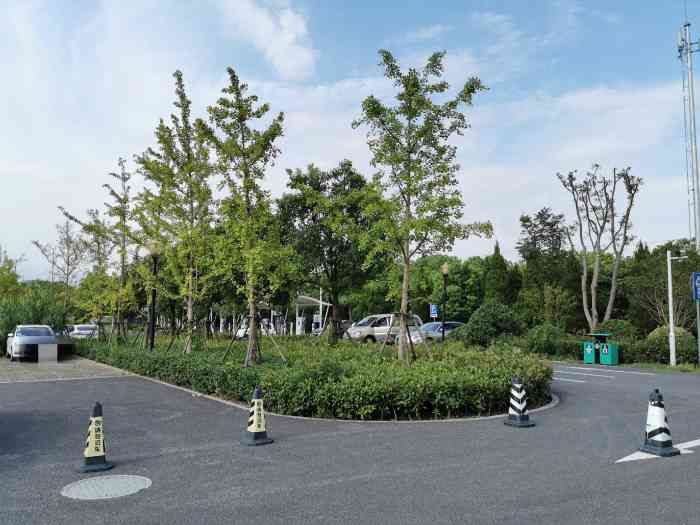 浦江郊野公园免费停车图片
