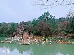 -宁波野生动物园