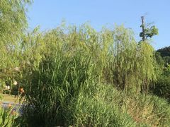 -飞凤山奥体公园
