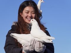 -天津妈祖文化园