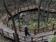 -大岭沟猕猴桃谷风景区