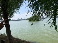 -艾溪湖湿地公园