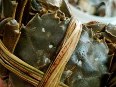 -丫丫蟹庄·苏式园林农家乐·阳澄湖大闸蟹(阳澄湖莲花岛店)