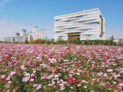 -武汉理工大学（南湖新校区）-图书馆