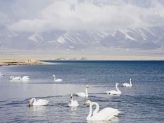 -赛里木湖风景名胜区