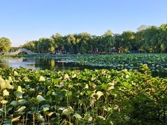 -长春市南湖公园