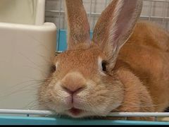 -fishtank鱼缸咖啡(三山街店)