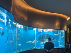 -碧涛阁水世界酒店(万家丽路店)