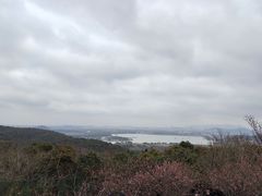 -香雪海