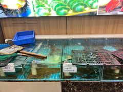 -渡海小渔村.老辈日照菜