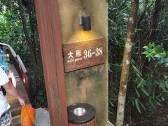 -三亚亚龙湾人间天堂鸟巢度假村