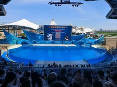 -上海海昌海洋公园