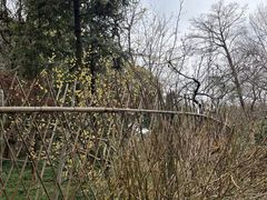 -蜀冈西峰生态公园