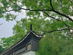 -西湖游船