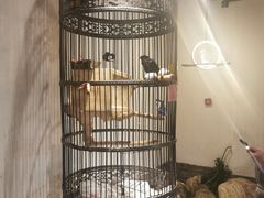 -清真京华源·涮肉烧烤(丰庆店)