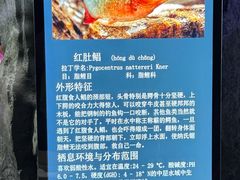 -蓬莱欧乐堡海洋极地世界