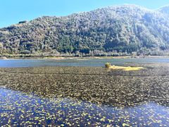 -腾冲北海湿地