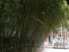 -罔极寺