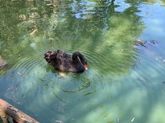 -济南野生动物世界