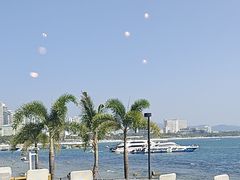 -雾山韩式烤肉·海南糟粕&椰子鸡火锅·海景餐厅(三亚绿发山海天JW万豪酒店)