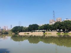 -光明港公园