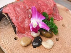 -菌子鲜汤野生菌锅
