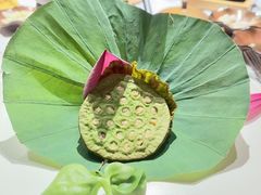 -叶叶菩提(太原别墅店)