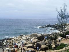 -广东惠东海龟国家级自然保护区