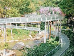 -广东天露山旅游度假区