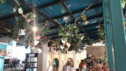 点击看大图 -金棕榈