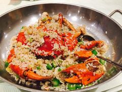 -新兴·金羊座·粤菜点心(乐峰店)