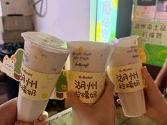 -猫的魔法密林(衣裳街店)