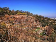 -阳台山自然风景区