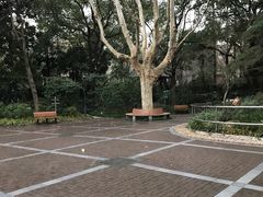 -华山儿童公园