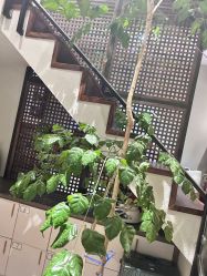 -香秀空间科技抗衰·美容中心