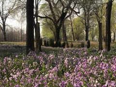 -将府公园